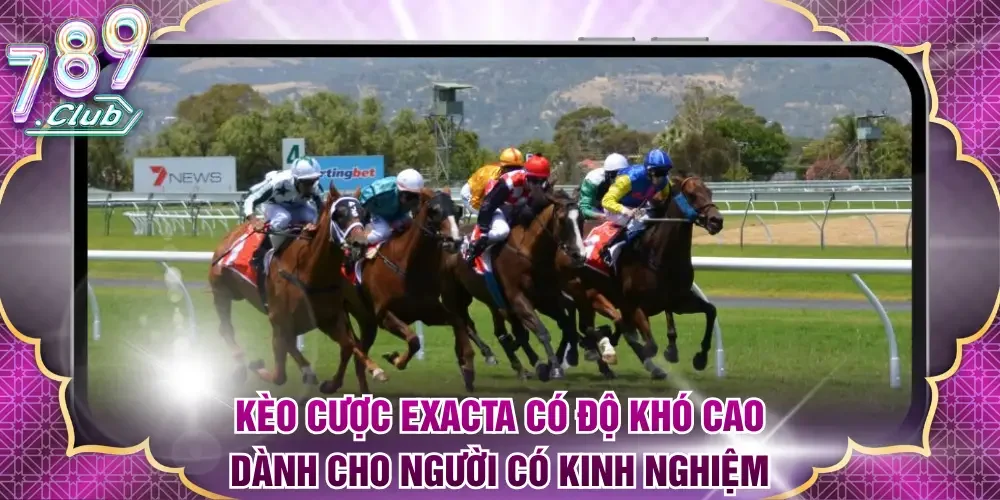 Kèo cược Exacta có độ khó cao dành cho người có kinh nghiệm